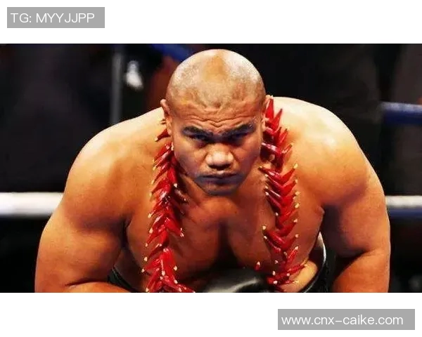 大卫图阿与伊比布奇的巅峰对决谁将赢得最终胜利解析